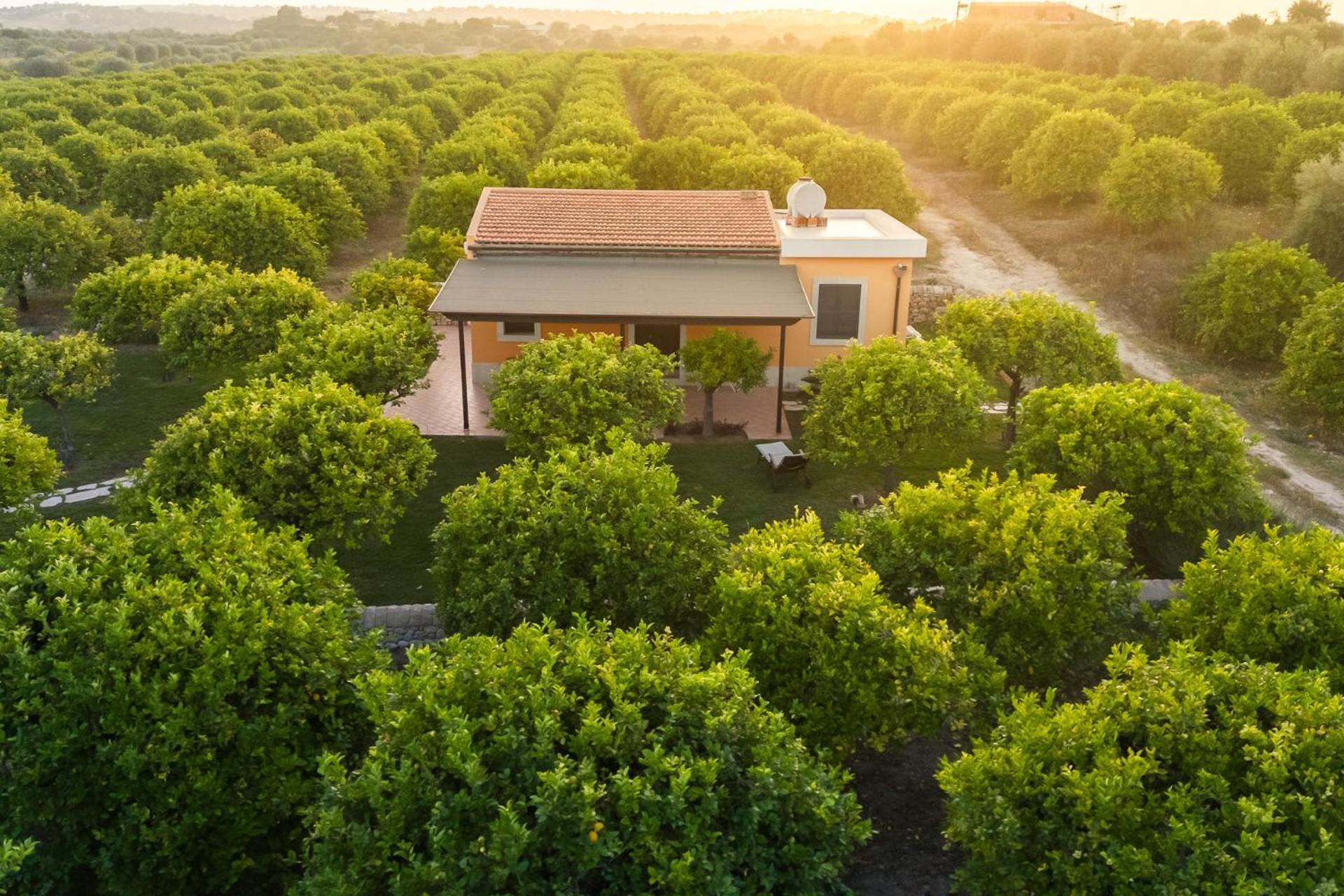 Fiore Di Vendicari B&B - Sicilian Charme, Lemon Grove And Sea Noto Dış mekan fotoğraf